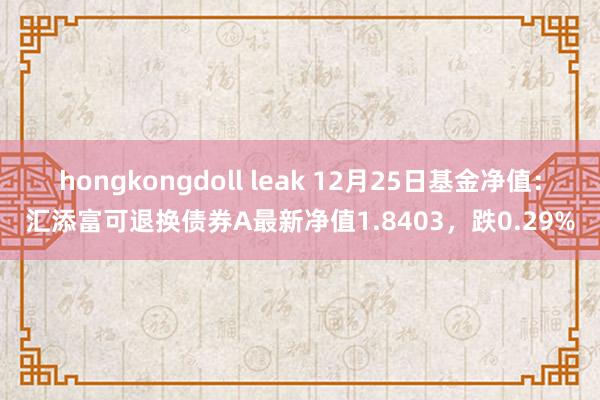 hongkongdoll leak 12月25日基金净值：汇添富可退换债券A最新净值1.8403，跌0.29%