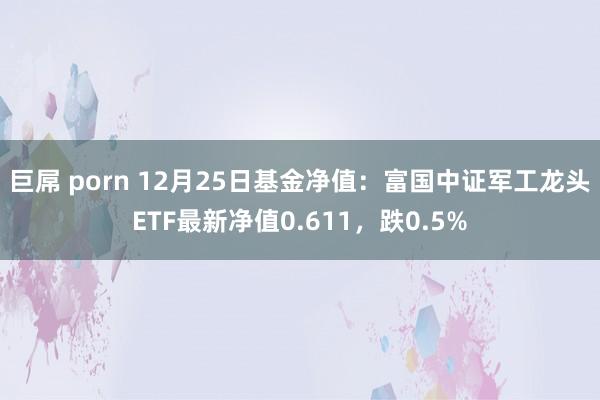 巨屌 porn 12月25日基金净值：富国中证军工龙头ETF最新净值0.611，跌0.5%