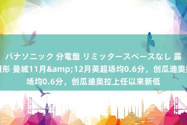 パナソニック 分電盤 リミッタースペースなし 露出・半埋込両用形 曼城11月&12月英超场均0.6分，创瓜迪奥拉上任以来新低