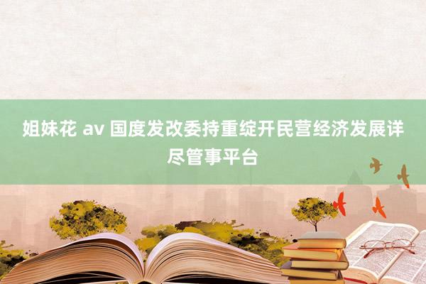 姐妹花 av 国度发改委持重绽开民营经济发展详尽管事平台