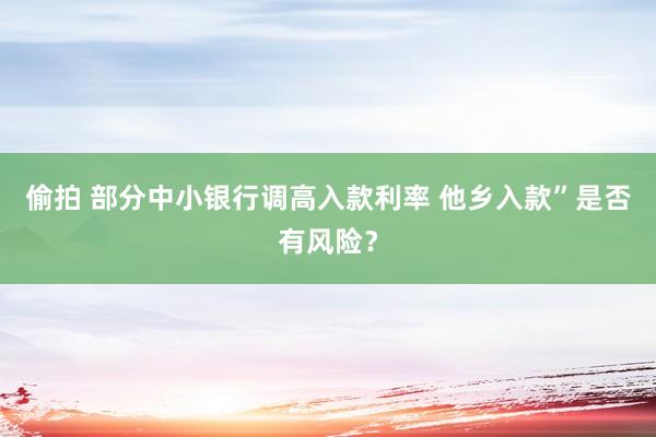 偷拍 部分中小银行调高入款利率 他乡入款”是否有风险？