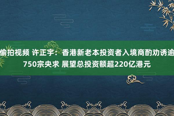 偷拍视频 许正宇：香港新老本投资者入境商酌劝诱逾750宗央求 展望总投资额超220亿港元