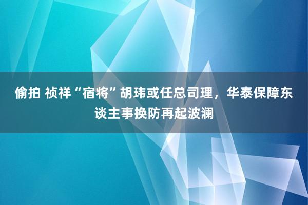 偷拍 祯祥“宿将”胡玮或任总司理，华泰保障东谈主事换防再起波澜