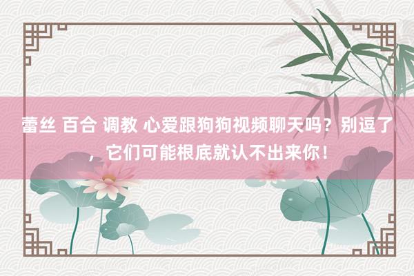 蕾丝 百合 调教 心爱跟狗狗视频聊天吗？别逗了，它们可能根底就认不出来你！