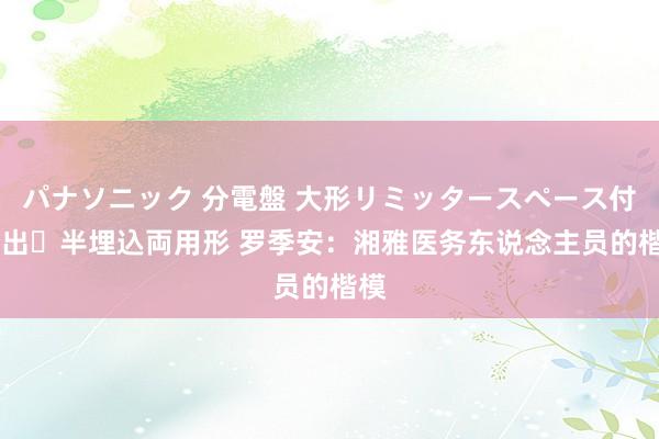 パナソニック 分電盤 大形リミッタースペース付 露出・半埋込両用形 罗季安：湘雅医务东说念主员的楷模