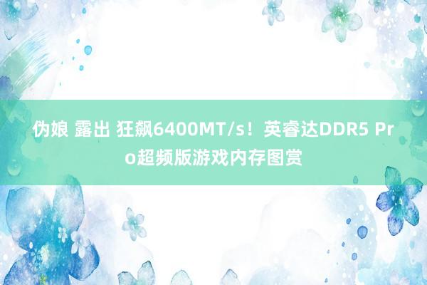 伪娘 露出 狂飙6400MT/s！英睿达DDR5 Pro超频版游戏内存图赏