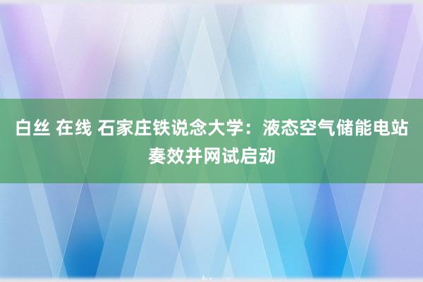 白丝 在线 石家庄铁说念大学：液态空气储能电站奏效并网试启动