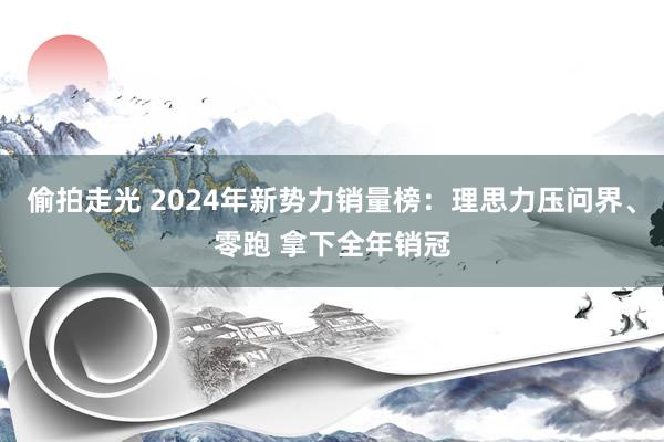 偷拍走光 2024年新势力销量榜：理思力压问界、零跑 拿下全年销冠