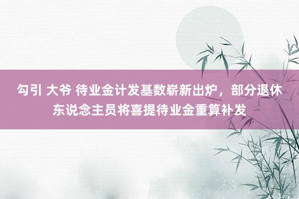 勾引 大爷 待业金计发基数崭新出炉，部分退休东说念主员将喜提待业金重算补发