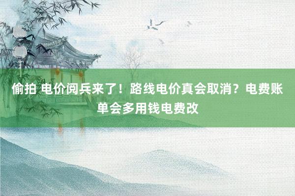 偷拍 电价阅兵来了！路线电价真会取消？电费账单会多用钱电费改