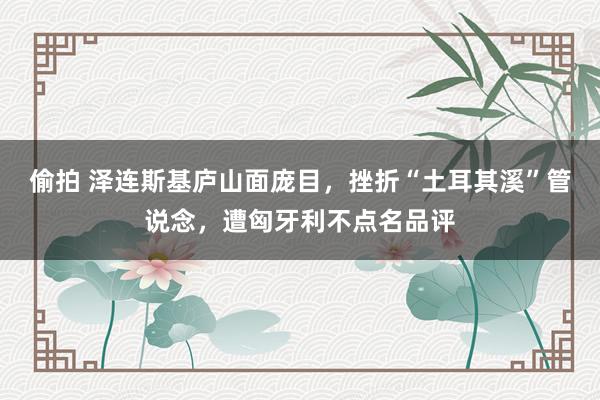 偷拍 泽连斯基庐山面庞目，挫折“土耳其溪”管说念，遭匈牙利不点名品评