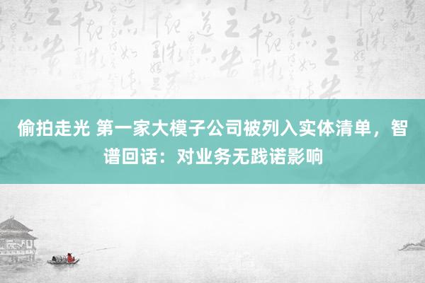 偷拍走光 第一家大模子公司被列入实体清单，智谱回话：对业务无践诺影响