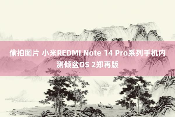 偷拍图片 小米REDMI Note 14 Pro系列手机内测倾盆OS 2郑再版